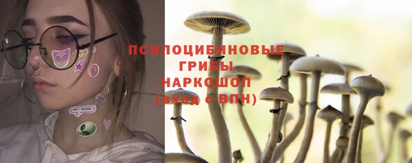 круглые Арсеньев