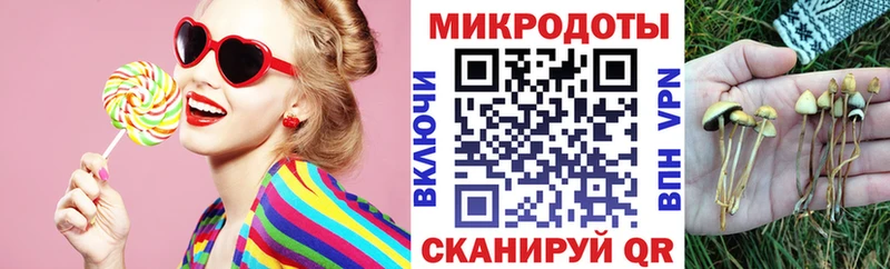 где найти наркотики  Сланцы  Псилоцибиновые грибы мухоморы 